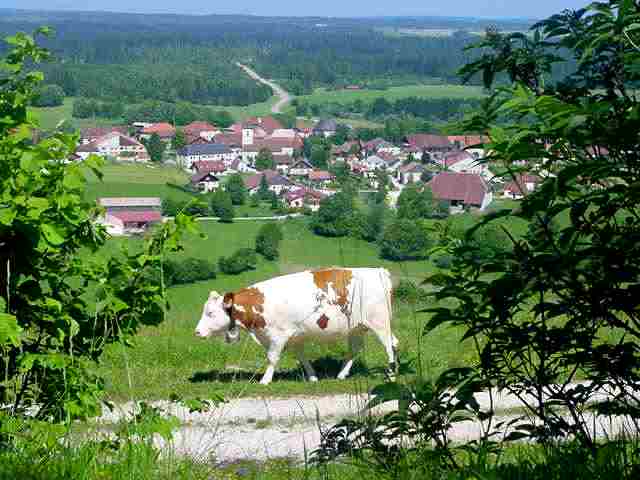 Le village de Bonnevaux (Doubs)
