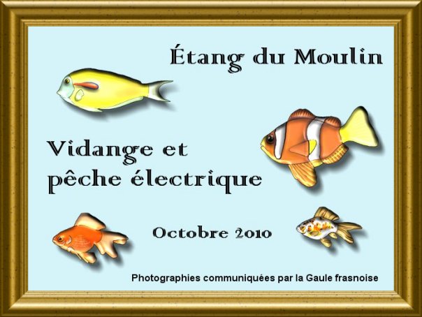 Vidange et peche à l'Étang du Moulin en octobre 2010